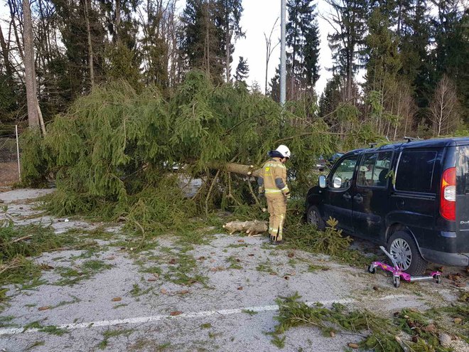 Odstrajevanje posledic neurja v Kranju in okolici. FOTO: PU Kranj