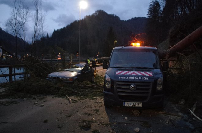 Pri Podvelki je veter izruval večje drevo, ki je padlo na osebno vozilo 52-letnega voznika, domačina, ki je vozil iz smeri Dravograda proti Mariboru. FOTO: PU Celje