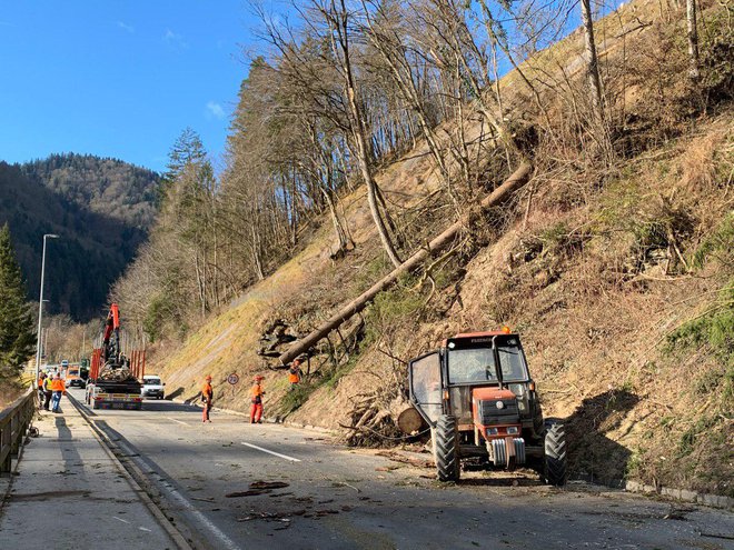 Pri Podvelki je veter izruval večje drevo, ki je padlo na osebno vozilo 52-letnega voznika, domačina, ki je vozil iz smeri Dravograda proti Mariboru. FOTO: Sobotainfo