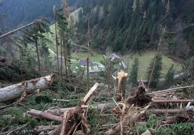 Vetrolom na Koroškem leta 2018. FOTO: Tadej Regent/Delo