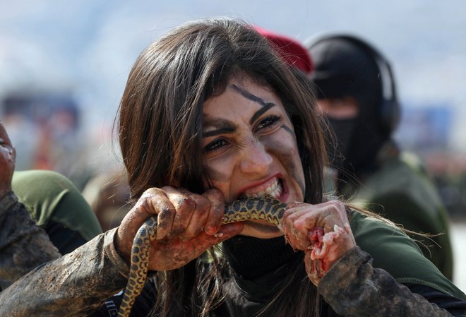 Iraška pešmerga Kurdinja grize surovo kačo med demonstriranjem veščin vojaškega preživetja na podelitvi diplom v kurdskem mestu Soran, približno 100 kilometrov severovzhodno od prestolnice iraške avtonomne kurdske regije Arbil. FOTO: Safin Hamed/Afp<br />
&nbsp;