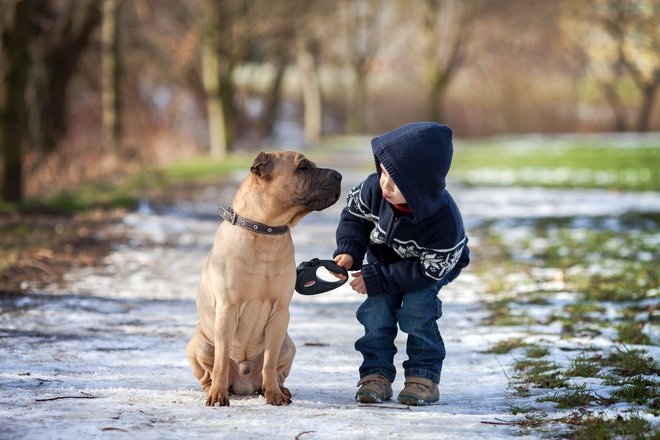 Zdaj se trese dojenčkova gora, vprašanje pa je, ali se iz tega sploh lahko rodi miš. FOTO: Shutterstock