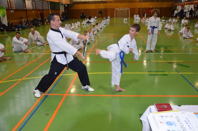 Prizor opravljanja preizkusa moči med enim od treningov taekwondoja. FOTO: Tomaž Zakrajšek