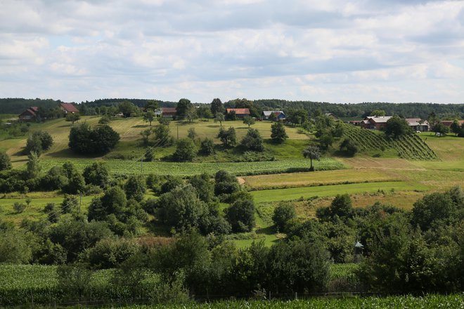 Mozaična kmetijska krajina, ki zagotavlja bivališča in gnezdišča številnim vrstam, izginja. FOTO: Damijan Denac