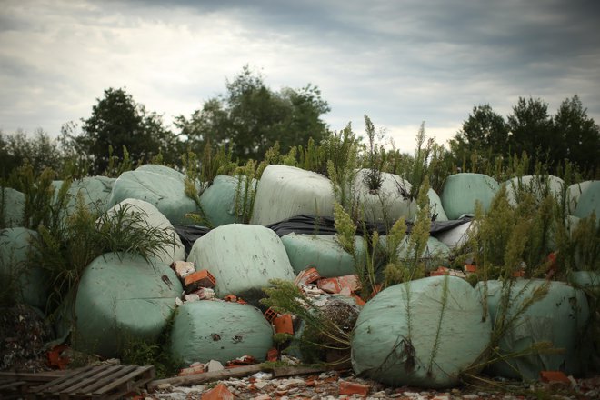 V Sloveniji imamo predelovalce plastike, vendar je zbrana odpadna embalaža pogosto slabše kakovosti. FOTO: Jure Eržen/Delo