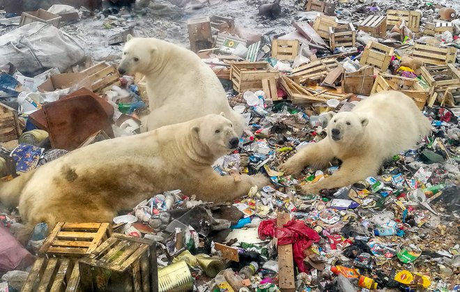 Poročilo je podalo najcelovitejši znanstveni pogled na povezavo med zemljo, na kateri živimo, in globalnim segrevanjem.<br />
FOTO: AFP