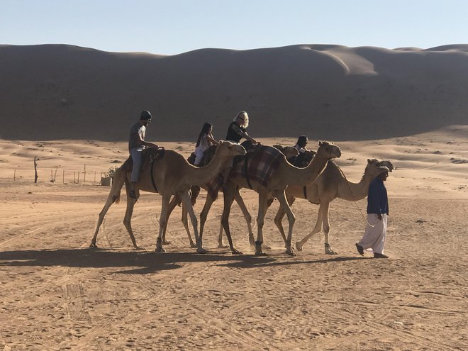 Sprehod po puščavi s kamelami in beduinom.