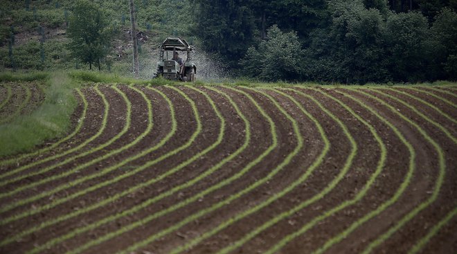 Kmetje v Evropski uniji so v 24 letih opustili približno 25 milijonov hektarjev obdelovalne zemlje. FOTO: Blaž Samec/Delo