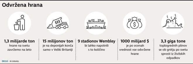 Vsako leto odvržemo ogromno hrane. Infografika