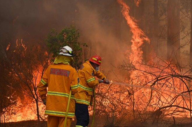 Zadnje tedne so nas pretresale zgodbe, fotografije in posnetki iz svetovnega tiska o grozljivih požarih v Avstraliji. FOTO: Peter Parks/AFP