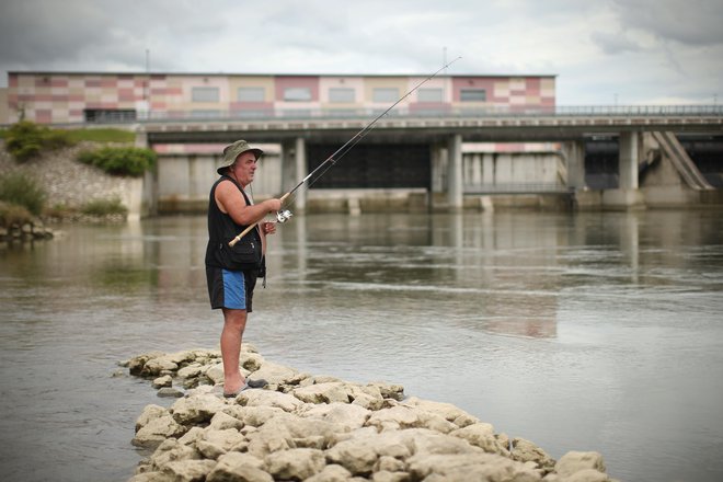 Akumulacije dodatno toplotno ne obremenjujejo reke Save, zato je naraščanje njene temperature vzdolž toka enako ali podobno kot pred zajezitvami. Foto Jure Eržen