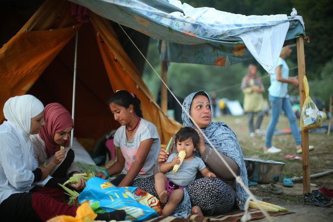 Begunci in migranti v improviziran kampu na obrobju Velike Kladuše. FOTO: Jure Eržen/Delo
