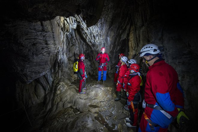 V Deževni jami raste siga s hitrostjo en centimeter na trideset let; povprečje je en centimeter na sto let. FOTO: Borut Lozej