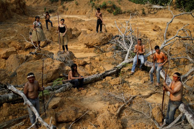 Nove hude grožnje so izsekavanje in požig gozdov, tudi v Amazoniji. FOTO: Reuters