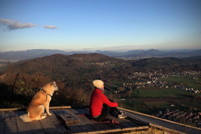 Če že gremo na izlet, iščemo lahke poti, na katere se odpravimo sami ali kvečjemu v družbi družinskih članov. FOTO: Jure Eržen/Delo