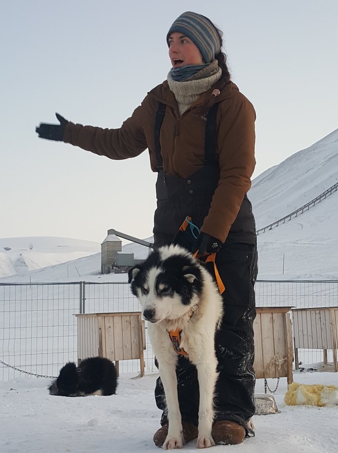 Sara Madsen, diplomantka turističnega menedžmenta, je službo našla v podjetju Svalbard husky, kjer glavnino zaposlenih predstavljajo psi, aljaški haskiji. FOTO: Maja Prijatelj Videmšek