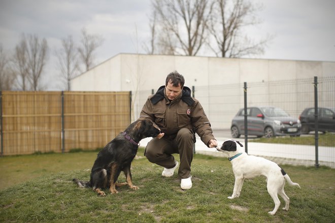 Hišne ljubljenčke ljudi, ki bodo zaradi covida-19 hospitalizirani, lahko prevzamejo v zavetišču Ljubljana. FOTO: Jure Eržen