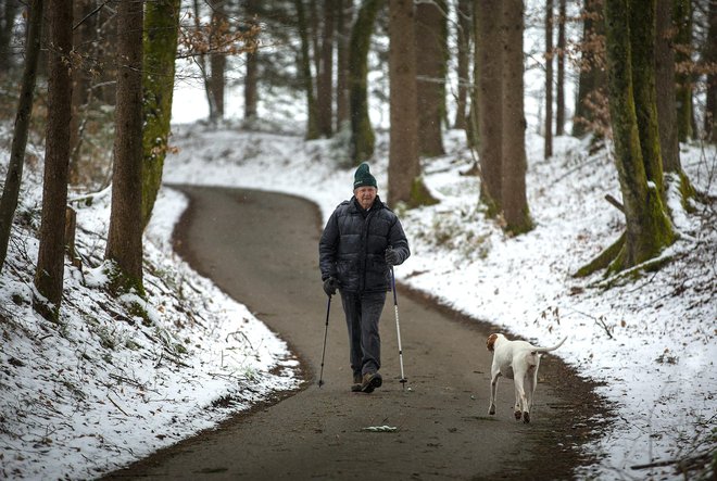 Nekaj razlogov za virusno zadržanost v naši domovini je namreč že v tem, da je Slovenija za virusno širjenje strukturno manj prijazna kot Lombardija. FOTO: Matej Družnik