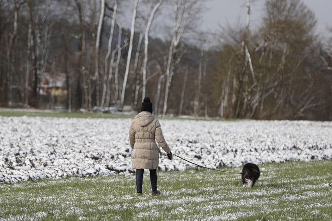 Odlok o začasni prepovedi zbiranja zagotavlja ljudem, da dostopajo do najbližje sprehajalne površine; tudi s psom:<br />
FOTO: Leon Vidic/Delo