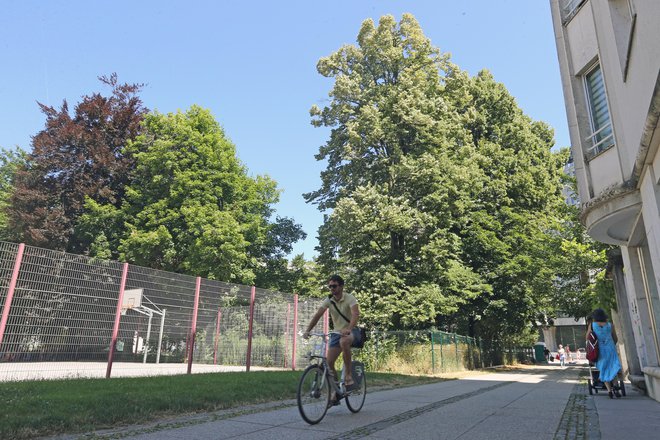 Pobude, da bi občina odkupila zemljišče in razširila zunanje površine osnovne šole Majde Vrhovnik, niso bile uspešne. FotoTomi Lombar