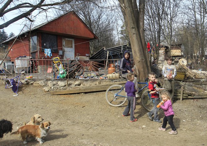 Del romskega naselja Žabjak, kjer Romi živijo v človeka nevrednih življenjskih pogojih. FOTO: Leon Vidic/Delo