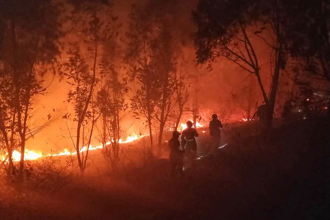 Gozdni požar v kitajskem Sečuanu je zajel 1000 hektarjev gozda in ubil 19 ljudi. FOTO: Str/Afp