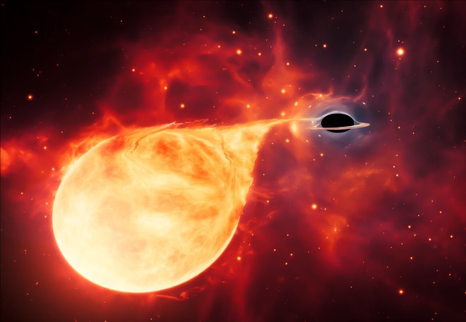 Umetniška upodobitev srednjevelike črne luknje, ki bi jo lahko po velikosti uvrstili med stelarne in supermasivne črne luknje. Obstoj srednjemasivnih črnih lukenj še ni povsem dokazan, kjer jih je težko odkriti. FOTO:&nbsp;ESA/Hubble, M. Kornmesser