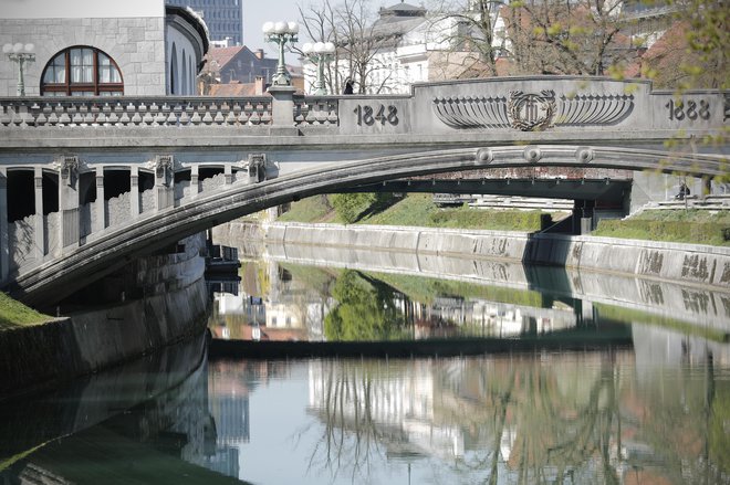 Tisto, kar si, je seveda sestavljeno tudi iz zrnc, ki se naberejo med zobmi glavnika, no, morda tudi zobmi življenja. FOTO: Uroš Hočevar