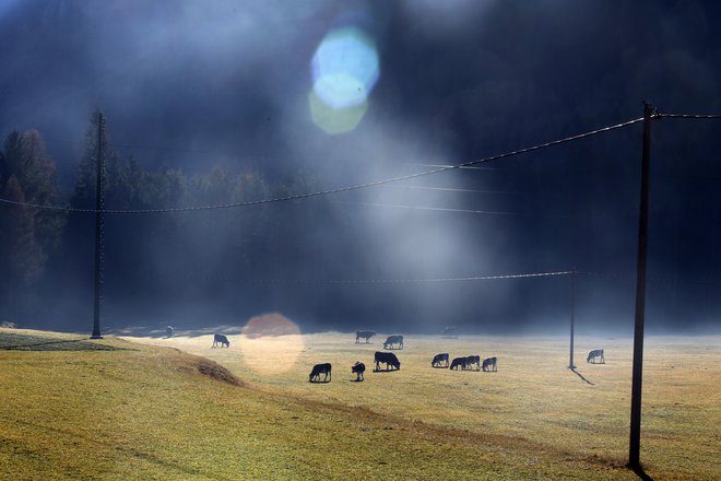 Počasi pa vsi dojemamo, da ima življenje v zakotnih hribovjih svojevrstne prednosti.&nbsp;FOTO: Matej Družnik/Delo