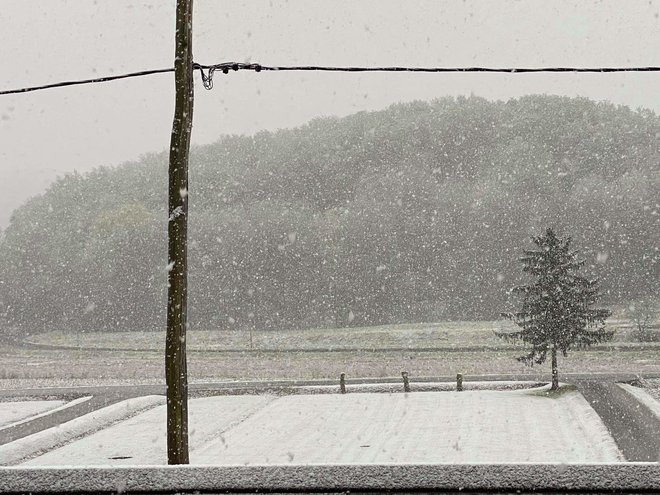 Pobelilo je Haloze. Zavrč danes zjutraj. FOTO: Neurje.si/Twitter/Lea Kralj