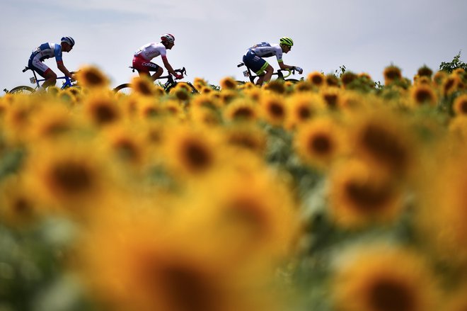 Dirki po Franciji zaradi pandemije ne cvetijo rožice. FOTO: AFP