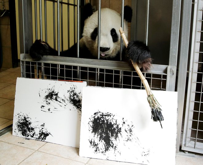 Panda Yang Yang&nbsp; FOTO: Heinz-Peter Bader/Reuters