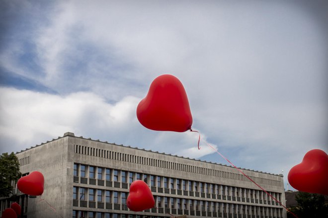 Problem Slovenije &ndash; v primerjavi z drugimi novimi državami &ndash; je bil v tem, da pred letom 1991 ni obstajala kot država, da ni imela svoje vojske niti diplomacije in da jo je bilo treba kot državo šele ustanoviti. FOTO: Voranc Vogel