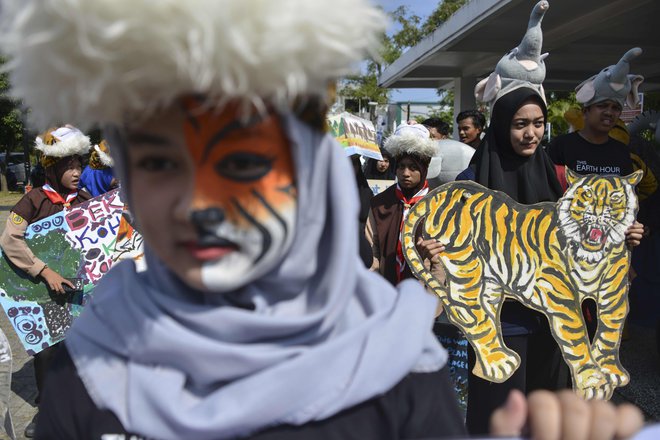Vse več mladih, kot so indonezijski študentje v Banda Acehu na fotografiji, poziva politične voditelje k ukrepom proti podnebnim spremembam in zavarovanju živalskih vrst. Foto AFP