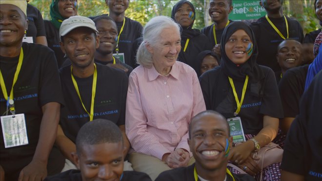 Dr. Jane Goodall FOTO: Bill Wallauer/National Geographic