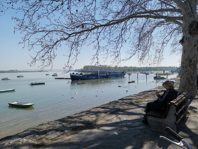 Sprehajališče ob Donavi v Zemunu je v normalnih razmerah polno sprehajalcev. FOTO: Milena Zupanič