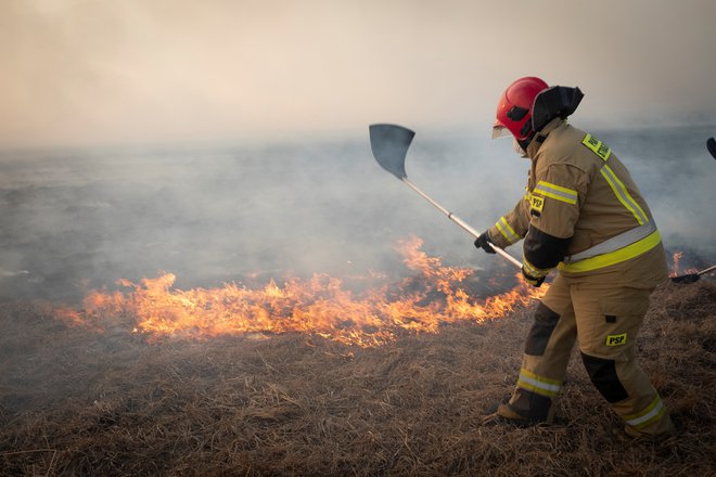 Nekaj sto gasilcev poskuša pogasiti obširen požar v narodnem parku Biebrza na Poljskem. FOTO: Grzegorz Dabrowski/Agencja Gazeta via Reuters