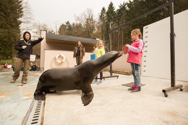 FOTO:  ZOO Ljubljana