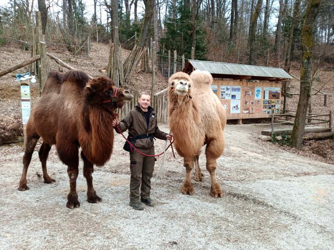 FOTO:  ZOO Ljubljana