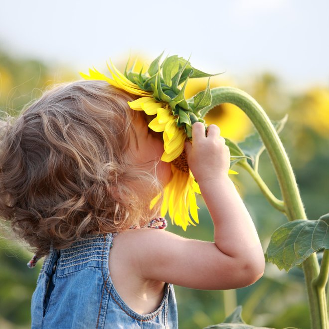 FOTO: Thinsktock Getty Images/istockphoto