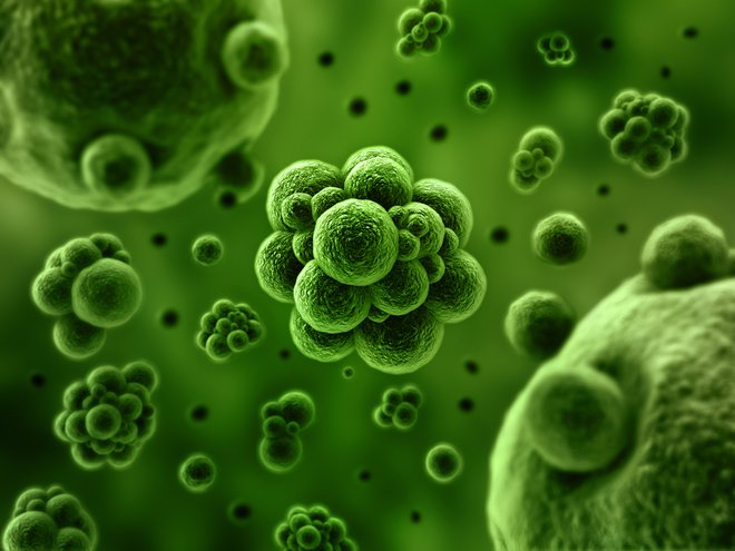 Novi koronavirus FOTO: Shutterstock