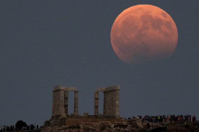 Mrki vedno pritegnejo pozornost. Slika je iz avgusta lani. FOTO: Costas Baltas/Reuters