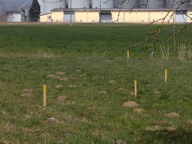 Količki na poljih so bili tudi postavljeni brez soglasij. FOTO: Združene Civilne Iniciative