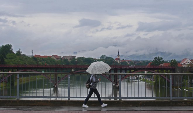 Ljudski rek&nbsp;&raquo;Če Pankraca sonce peče, sladko vince v klet priteče&laquo; letošnjega 12. maja ne bo aktualen.​ FOTO: Tadej Regent/Delo