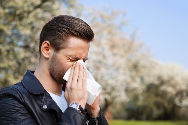 Alergija na cvetni prah je zelo pogosta in predvsem spomladi povzroča največ težav. FOTO: Shutterstock