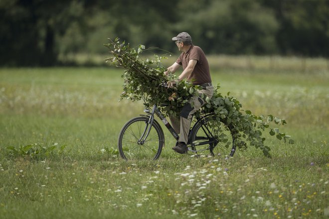 Z naravo delimo&nbsp; moč svojega imunskega sistema in tudi svojo odpornost pred silami in mikrobi, ki skrbijo za recikliranje narave.Foto Leon Vidic