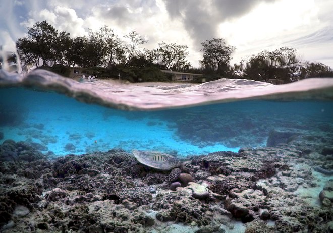 Zaradi globalnega segrevanja utegnejo biti koralni grebeni prvi veliki ekosistem v modernem obdobju, ki bo izumrl. Ob nadaljevanju trenutnih trendov izpustov toplogrednih plinov se bo to zgodilo v približno petdesetih letih. FOTO: Reuters