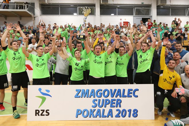 Domači rokometaši so uprizorili prvovrstno presenečenje. FOTO: Tomi Lombar/Delo