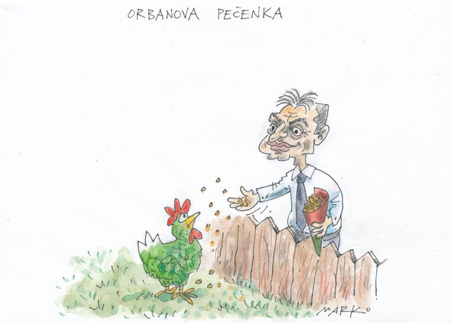 Karikatura: Marko Kočevar