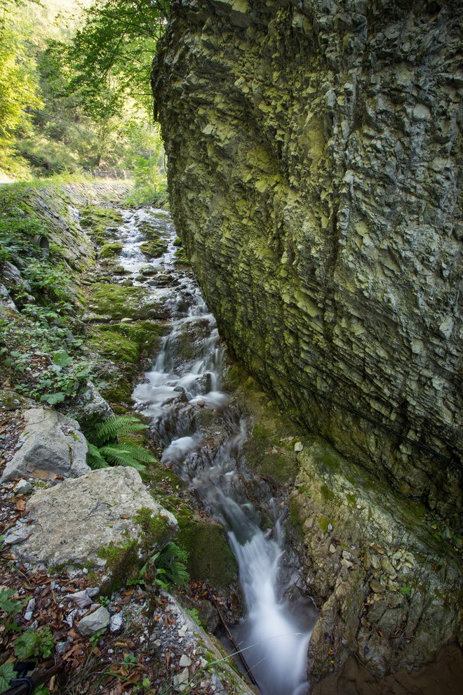 Geotermalna učna pot je prva takšna v Sloveniji. FOTO: Bojan Tavčar